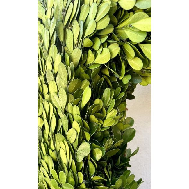 20" Diameter Square Real Preserved Boxwood Wreath-Natural